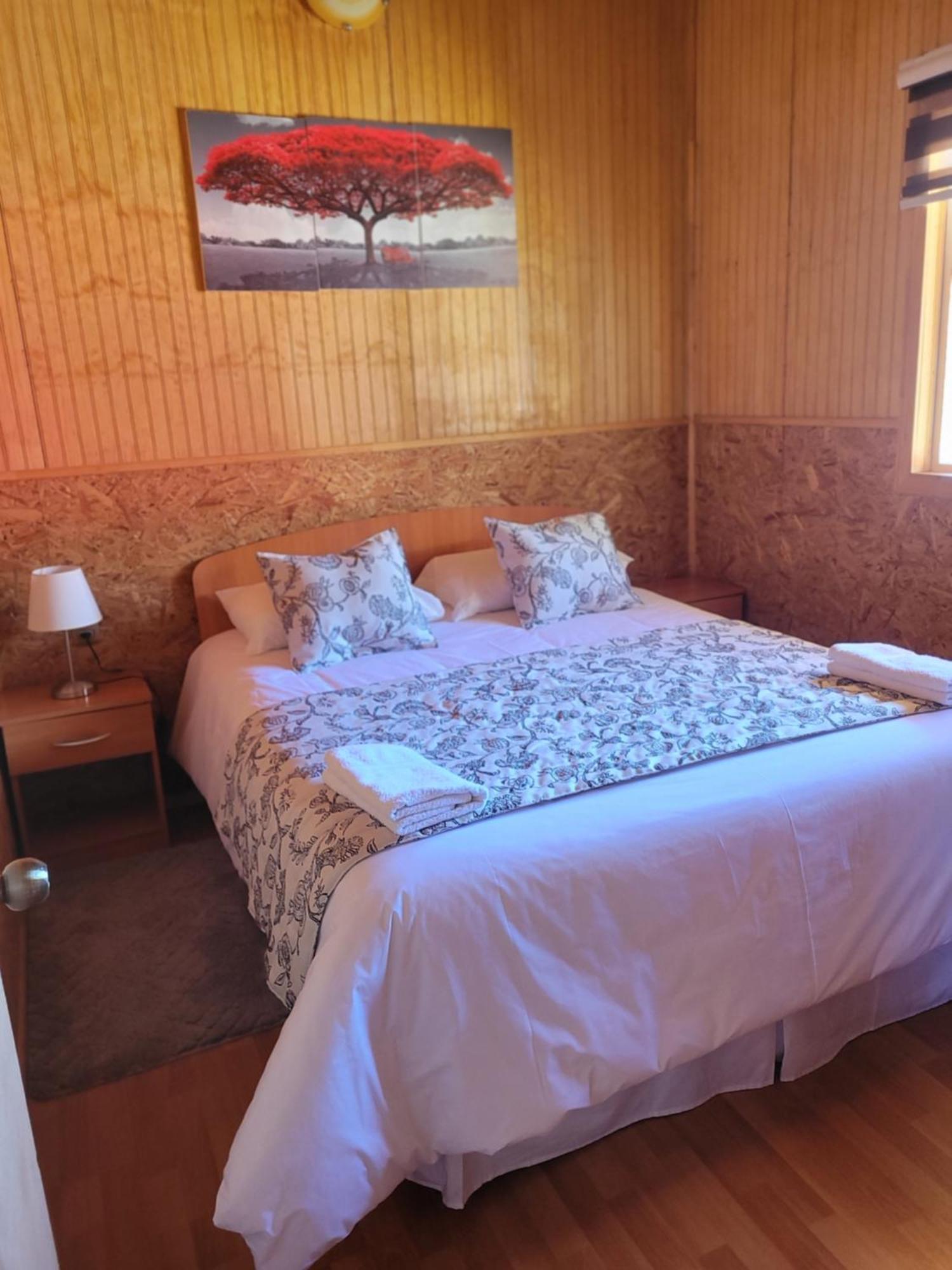 Cabanas Vientos Del Sur En Puerto Puyuhuapi Aysen Extérieur photo